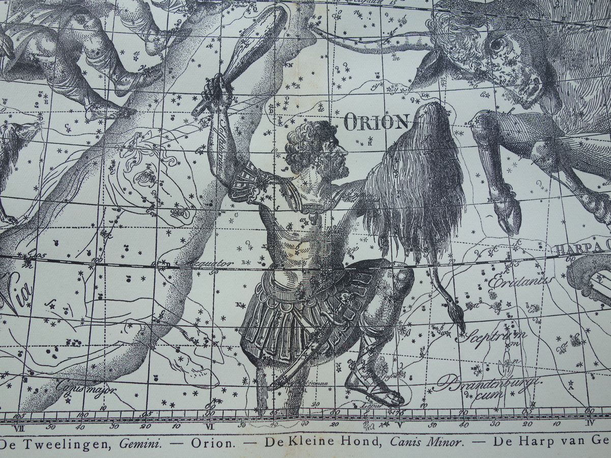Sterrenbeeld Tweelingen en Stier Antieke prent sterrenkaart astrologie sterrenbeelden oude vintage astronomie print