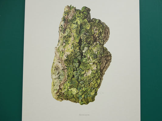 Autuniet Mineraal vintage prent 1967 Oude Mineralen Edelstenen Illustratie Autuniet Muurdecoratie Mineralogie Kristal