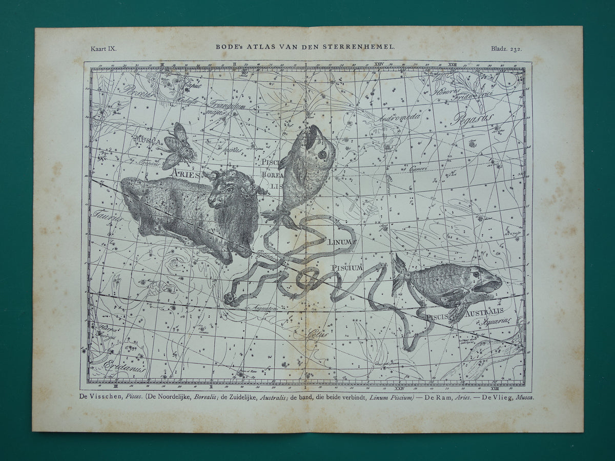 Vissen & Ram Sterrenbeeld Oude astrologie prent Antieke sterrenkaart astronomie sterrenbeelden vintage print