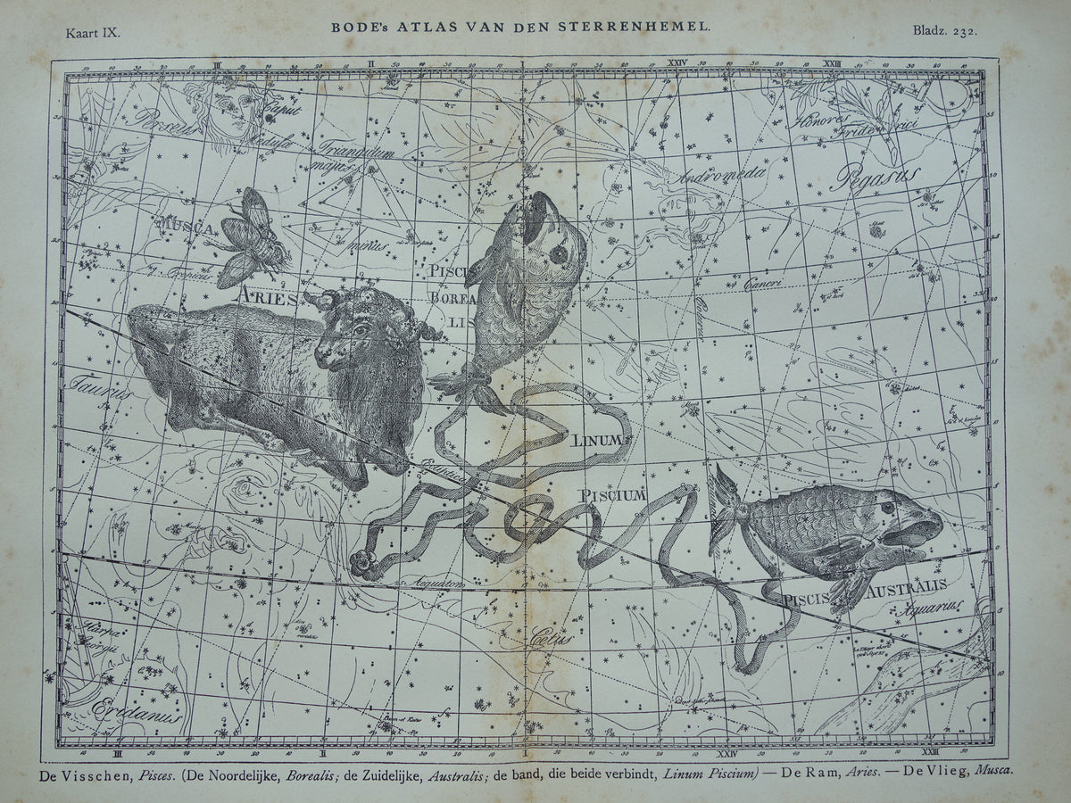 Vissen & Ram Sterrenbeeld Oude astrologie prent Antieke sterrenkaart astronomie sterrenbeelden vintage print