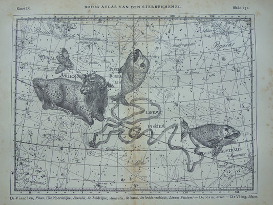 Vissen & Ram Sterrenbeeld Oude astrologie prent Antieke sterrenkaart astronomie sterrenbeelden vintage print