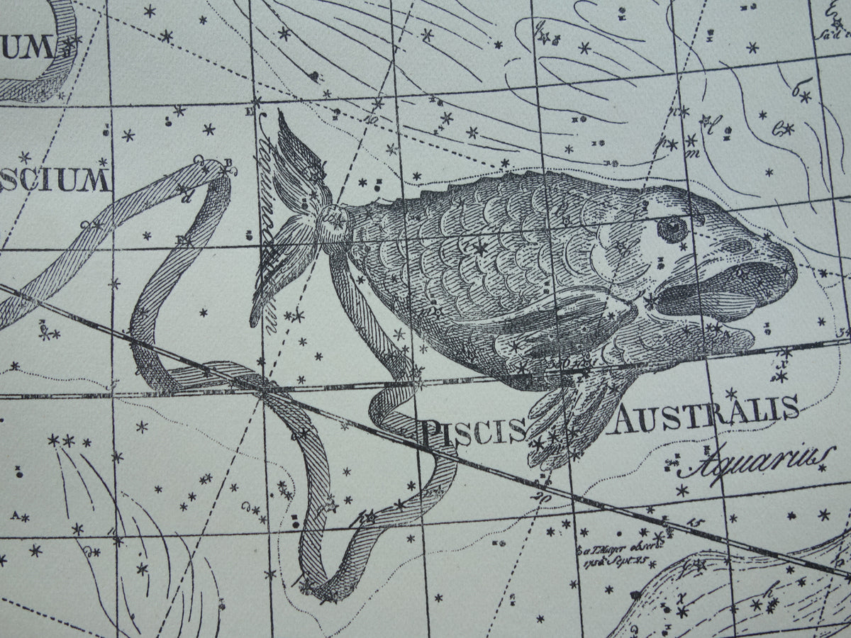 Vissen & Ram Sterrenbeeld Oude astrologie prent Antieke sterrenkaart astronomie sterrenbeelden vintage print
