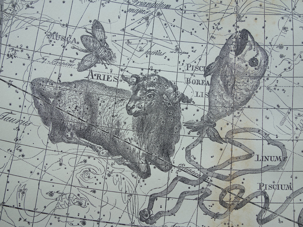 Vissen & Ram Sterrenbeeld Oude astrologie prent Antieke sterrenkaart astronomie sterrenbeelden vintage print