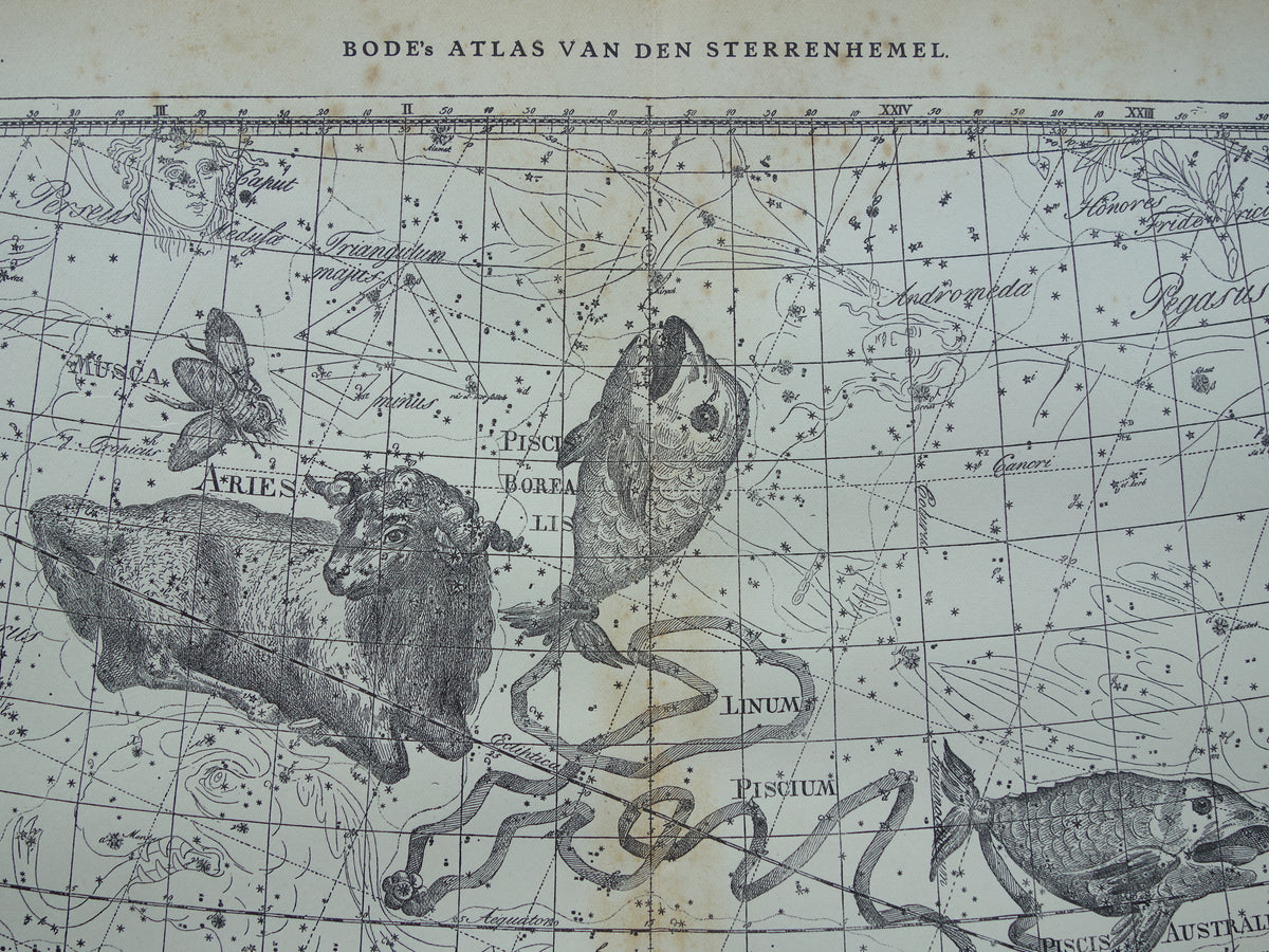 horoscoop vissen cadeau
