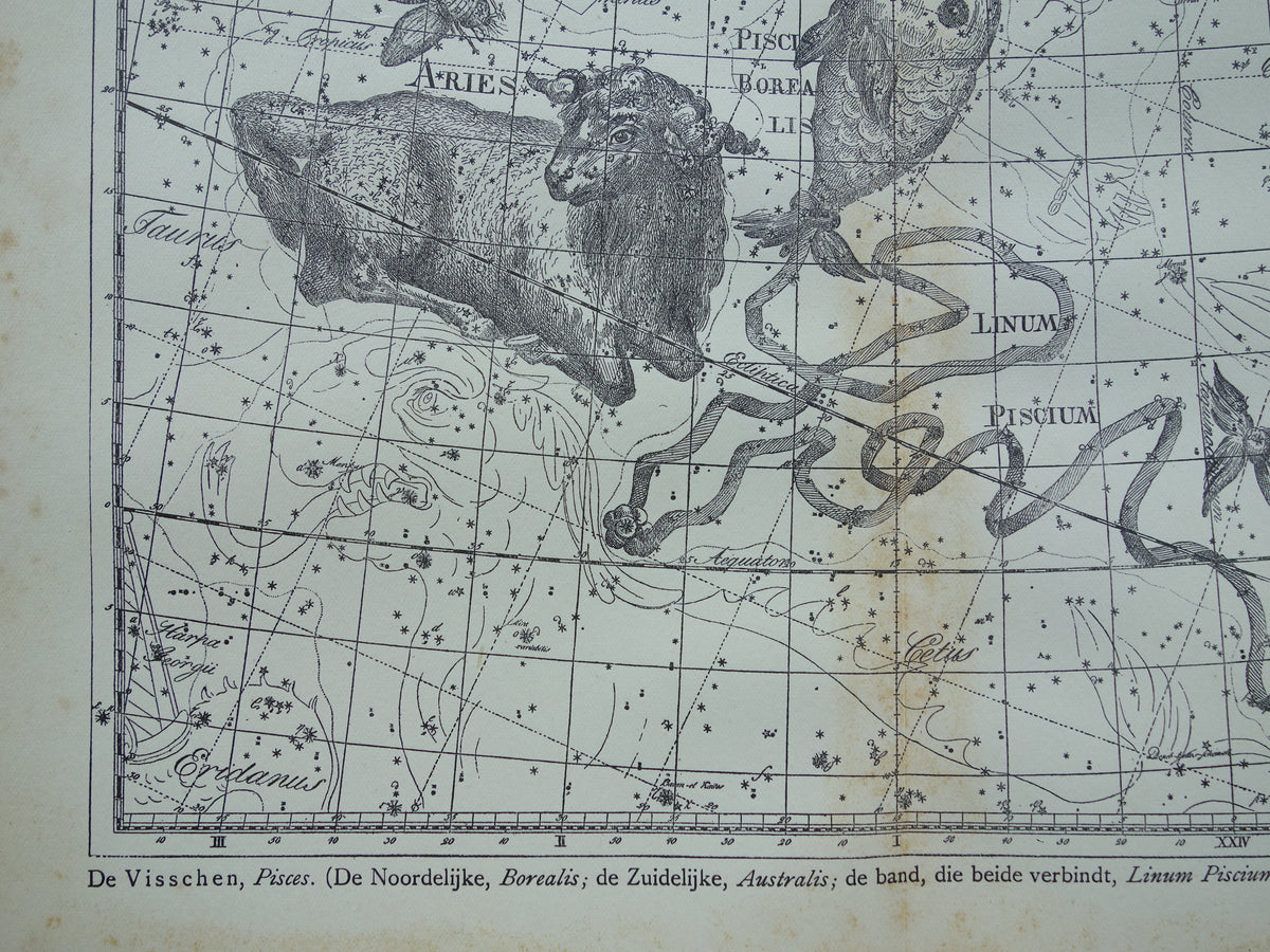 Vissen & Ram Sterrenbeeld Oude astrologie prent Antieke sterrenkaart astronomie sterrenbeelden vintage print