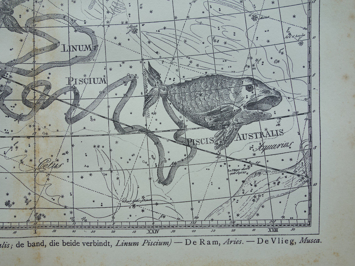 Vissen & Ram Sterrenbeeld Oude astrologie prent Antieke sterrenkaart astronomie sterrenbeelden vintage print