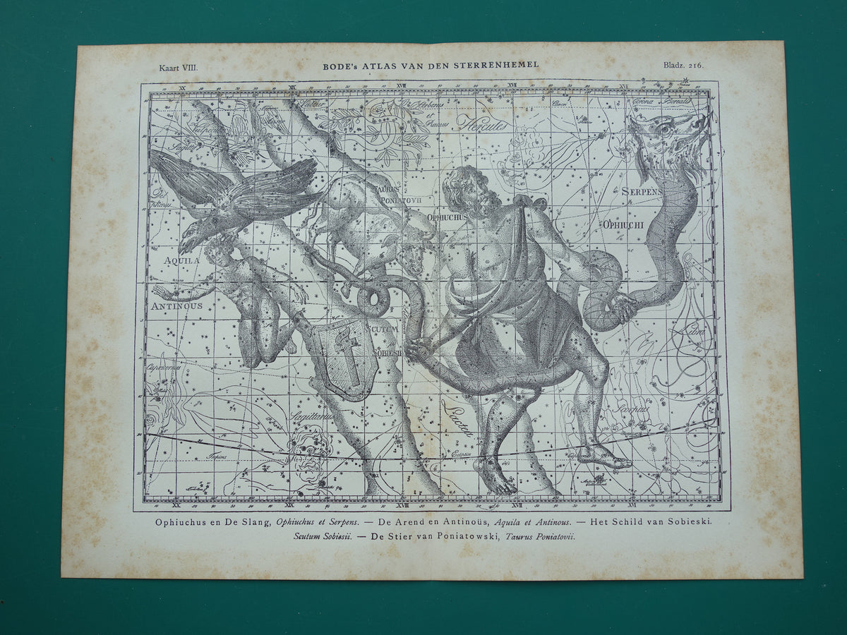 Sterrenbeeld Ophiuchus Slangendrager Taurus Stier vintage illustratie - Antieke sterrenkaart Sterrenbeelden - Oude prent Aquila Arend en Antinous astronomie astrologie print