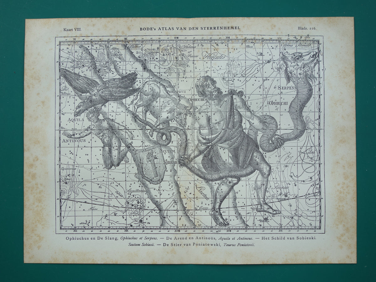 Sterrenbeeld Ophiuchus Slangendrager Taurus Stier vintage illustratie - Antieke sterrenkaart Sterrenbeelden - Oude prent Aquila Arend en Antinous astronomie astrologie print