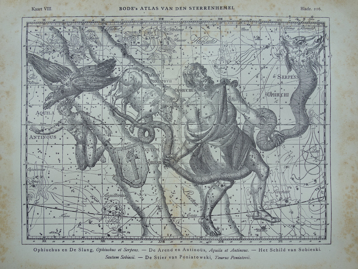 Sterrenbeeld Ophiuchus Slangendrager Taurus Stier vintage illustratie - Antieke sterrenkaart Sterrenbeelden - Oude prent Aquila Arend en Antinous astronomie astrologie print