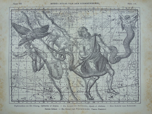 Sterrenbeeld Ophiuchus Slangendrager Taurus Stier vintage illustratie - Antieke sterrenkaart Sterrenbeelden - Oude prent Aquila Arend en Antinous astronomie astrologie print