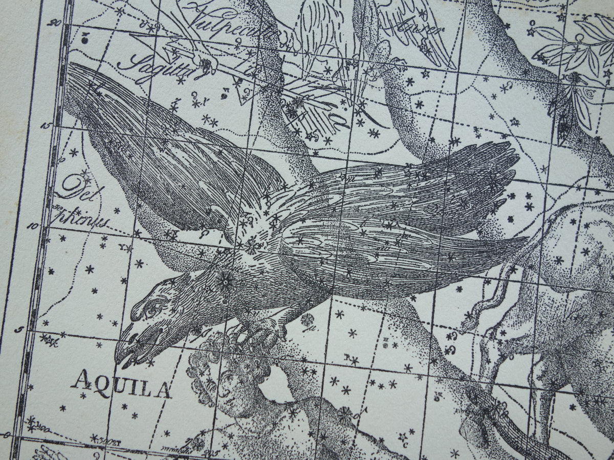 Sterrenbeeld Ophiuchus Slangendrager Taurus Stier vintage illustratie - Antieke sterrenkaart Sterrenbeelden - Oude prent Aquila Arend en Antinous astronomie astrologie print