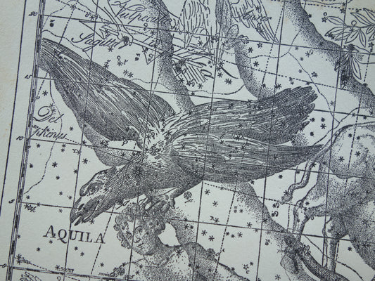 Sterrenbeeld Ophiuchus Slangendrager Taurus Stier vintage illustratie - Antieke sterrenkaart Sterrenbeelden - Oude prent Aquila Arend en Antinous astronomie astrologie print