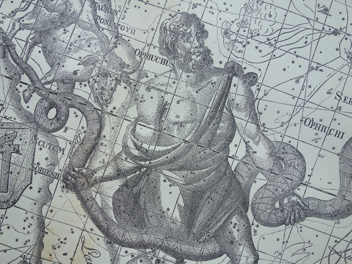 Sterrenbeeld Ophiuchus Slangendrager Taurus Stier vintage illustratie - Antieke sterrenkaart Sterrenbeelden - Oude prent Aquila Arend en Antinous astronomie astrologie print