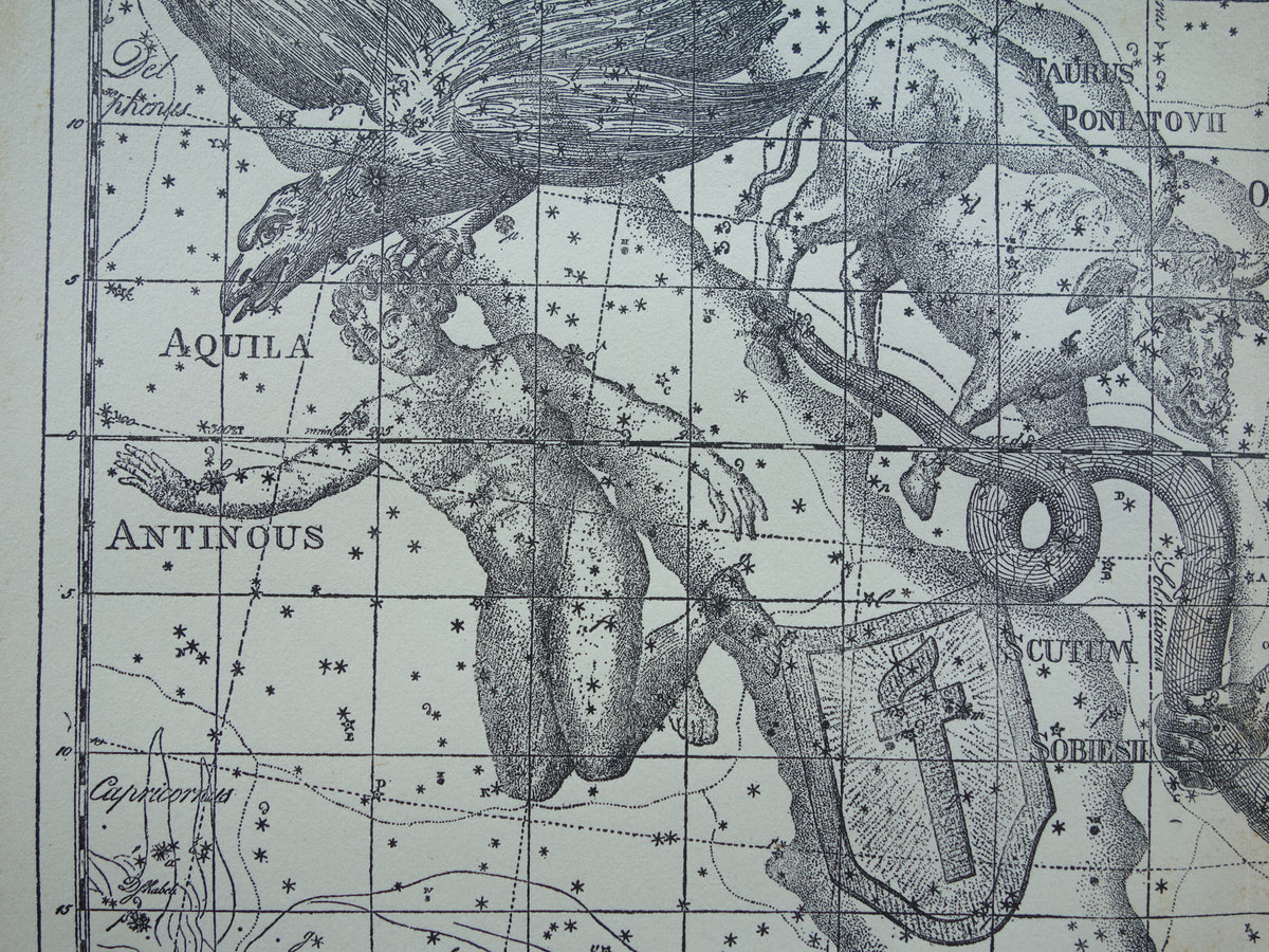 Sterrenbeeld Ophiuchus Slangendrager Taurus Stier vintage illustratie - Antieke sterrenkaart Sterrenbeelden - Oude prent Aquila Arend en Antinous astronomie astrologie print
