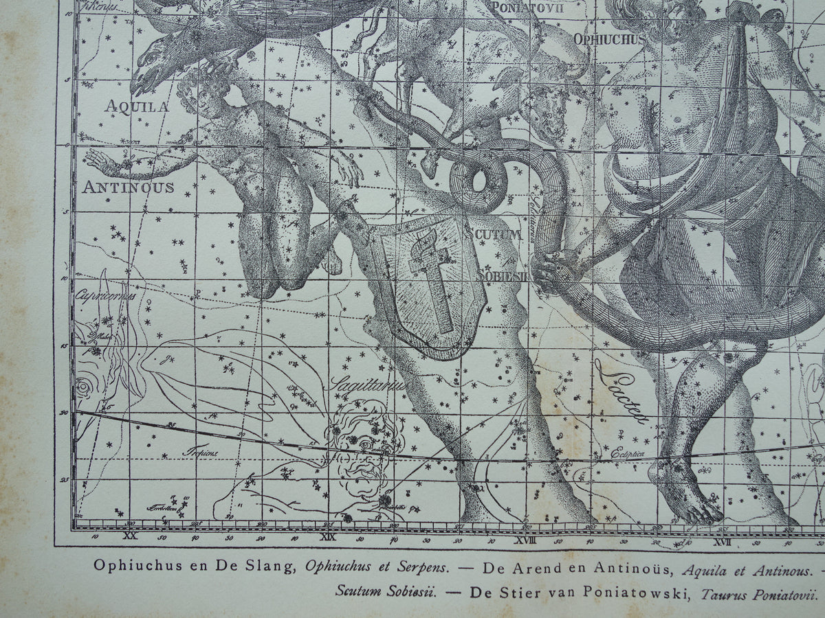 Sterrenbeeld Ophiuchus Slangendrager Taurus Stier vintage illustratie - Antieke sterrenkaart Sterrenbeelden - Oude prent Aquila Arend en Antinous astronomie astrologie print