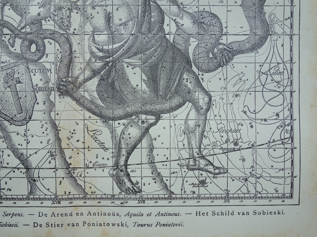 Sterrenbeeld Ophiuchus Slangendrager Taurus Stier vintage illustratie - Antieke sterrenkaart Sterrenbeelden - Oude prent Aquila Arend en Antinous astronomie astrologie print