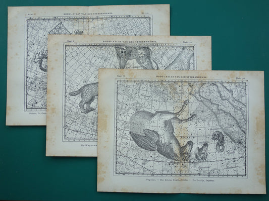 Antieke ASTRONOMIE print set van drie 3 oude sterrenkaart prints - Vintage Pegasus Auriga Boötes astrologie sterrenbeeld prints noordelijke hemel