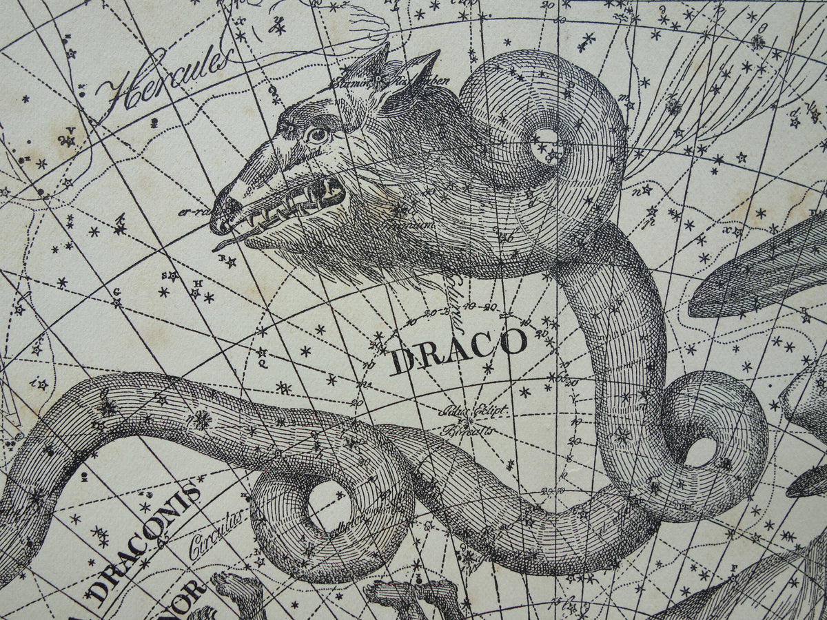 Sterrenbeeld Draak Oude astrologie prent Antieke sterrenkaart Cepheus astronomie sterrenbeelden vintage print Giraffe