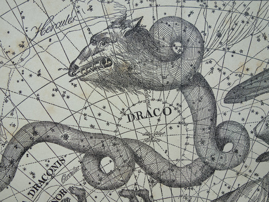 Sterrenbeeld Draak Oude astrologie prent Antieke sterrenkaart Cepheus astronomie sterrenbeelden vintage print Giraffe