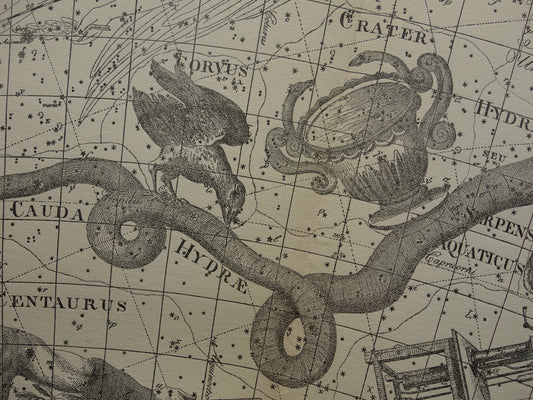 Oude astrologie prent van sterrenbeelden Centaur Raaf Kat Antieke sterrenkaart sterrenbeeld Waterslang Hydra Centaurus Felis vintage asronomie print