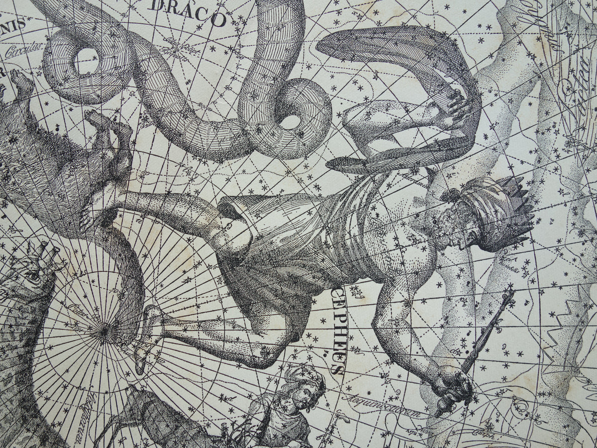 Sterrenbeeld Draak Oude astrologie prent Antieke sterrenkaart Cepheus astronomie sterrenbeelden vintage print Giraffe