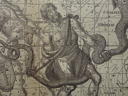 Sterrenbeeld Ophiuchus Slangendrager Taurus Stier vintage illustratie - Antieke sterrenkaart Sterrenbeelden - Oude prent Aquila Arend en Antinous astronomie astrologie print