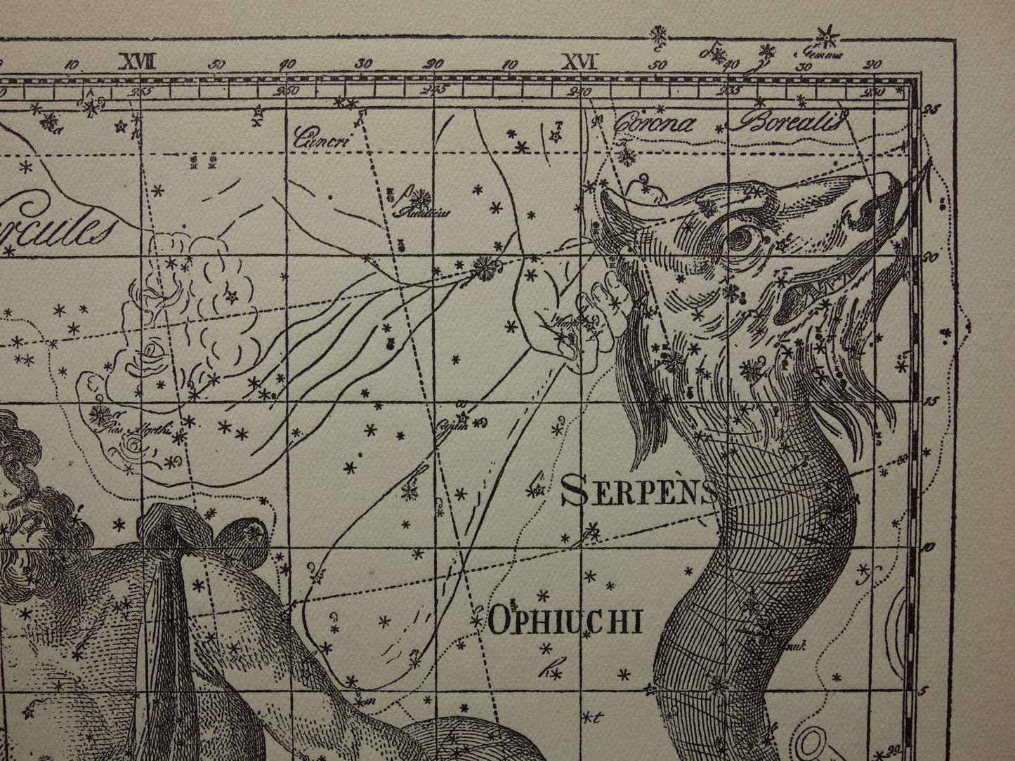 Sterrenbeeld Ophiuchus Slangendrager Taurus Stier vintage illustratie - Antieke sterrenkaart Sterrenbeelden - Oude prent Aquila Arend en Antinous astronomie astrologie print