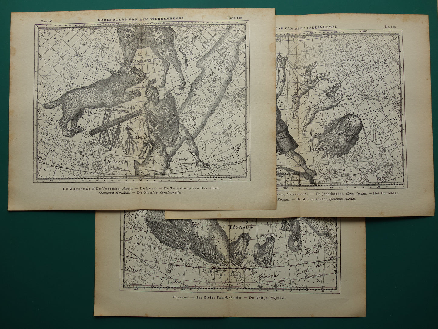 Antieke ASTRONOMIE print set van drie 3 oude sterrenkaart prints - Vintage Pegasus Auriga Boötes astrologie sterrenbeeld prints noordelijke hemel