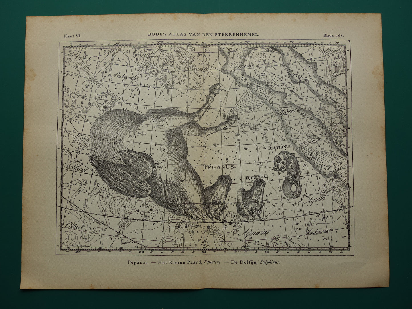 Antieke ASTRONOMIE print set van drie 3 oude sterrenkaart prints - Vintage Pegasus Auriga Boötes astrologie sterrenbeeld prints noordelijke hemel