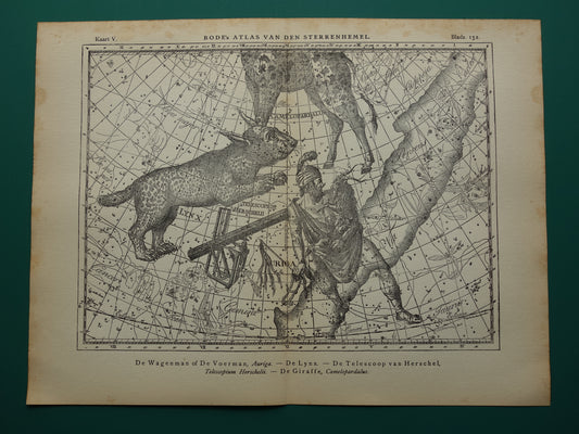 Antieke ASTRONOMIE print set van drie 3 oude sterrenkaart prints - Vintage Pegasus Auriga Boötes astrologie sterrenbeeld prints noordelijke hemel