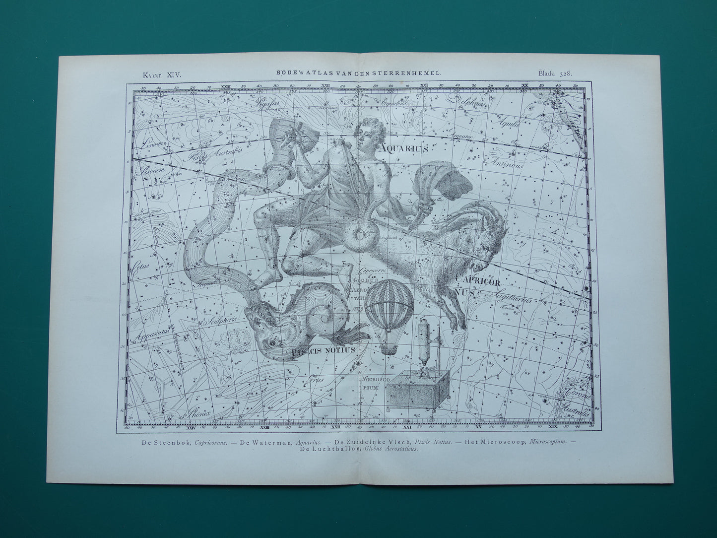 Waterman en Steenbok Oude astrologie prent van sterrenbeeld Antieke sterrenkaart astronomie sterrenbeelden vintage print