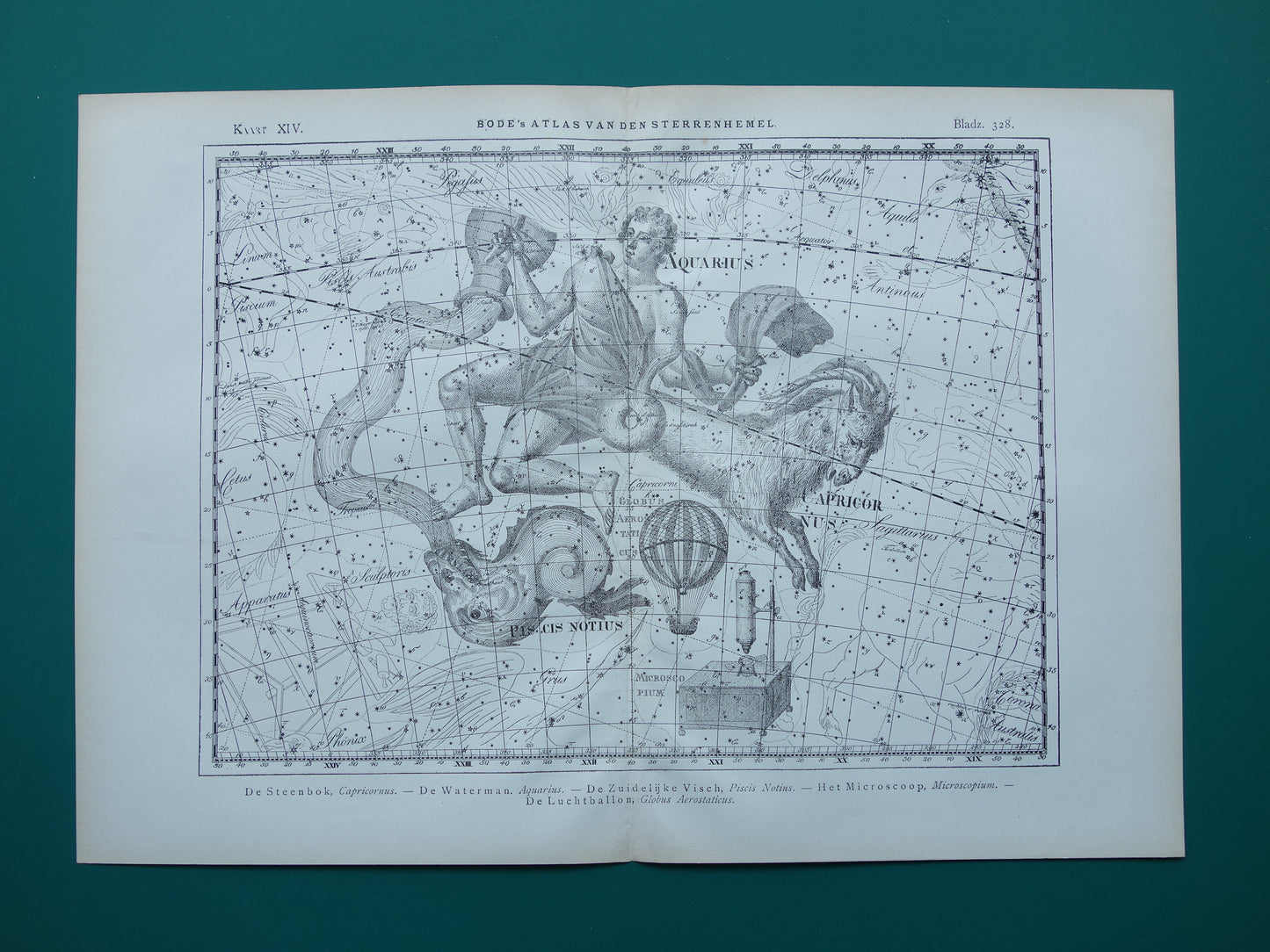 Waterman en Steenbok Oude astrologie prent van sterrenbeeld Antieke sterrenkaart astronomie sterrenbeelden vintage print