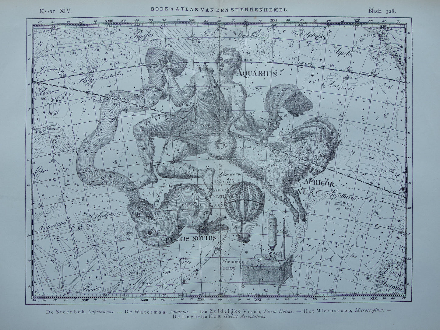 Waterman en Steenbok Oude astrologie prent van sterrenbeeld Antieke sterrenkaart astronomie sterrenbeelden vintage print