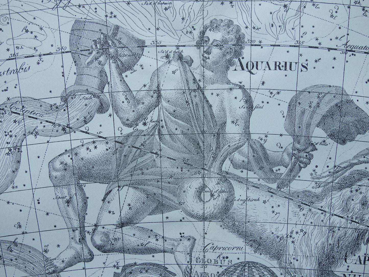 Waterman en Steenbok Oude astrologie prent van sterrenbeeld Antieke sterrenkaart astronomie sterrenbeelden vintage print