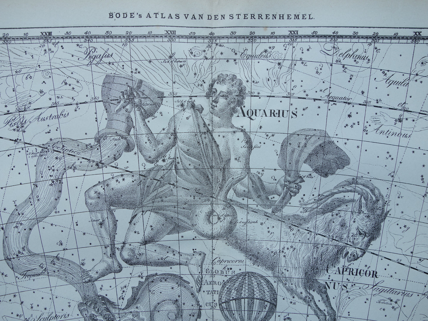 Waterman en Steenbok Oude astrologie prent van sterrenbeeld Antieke sterrenkaart astronomie sterrenbeelden vintage print