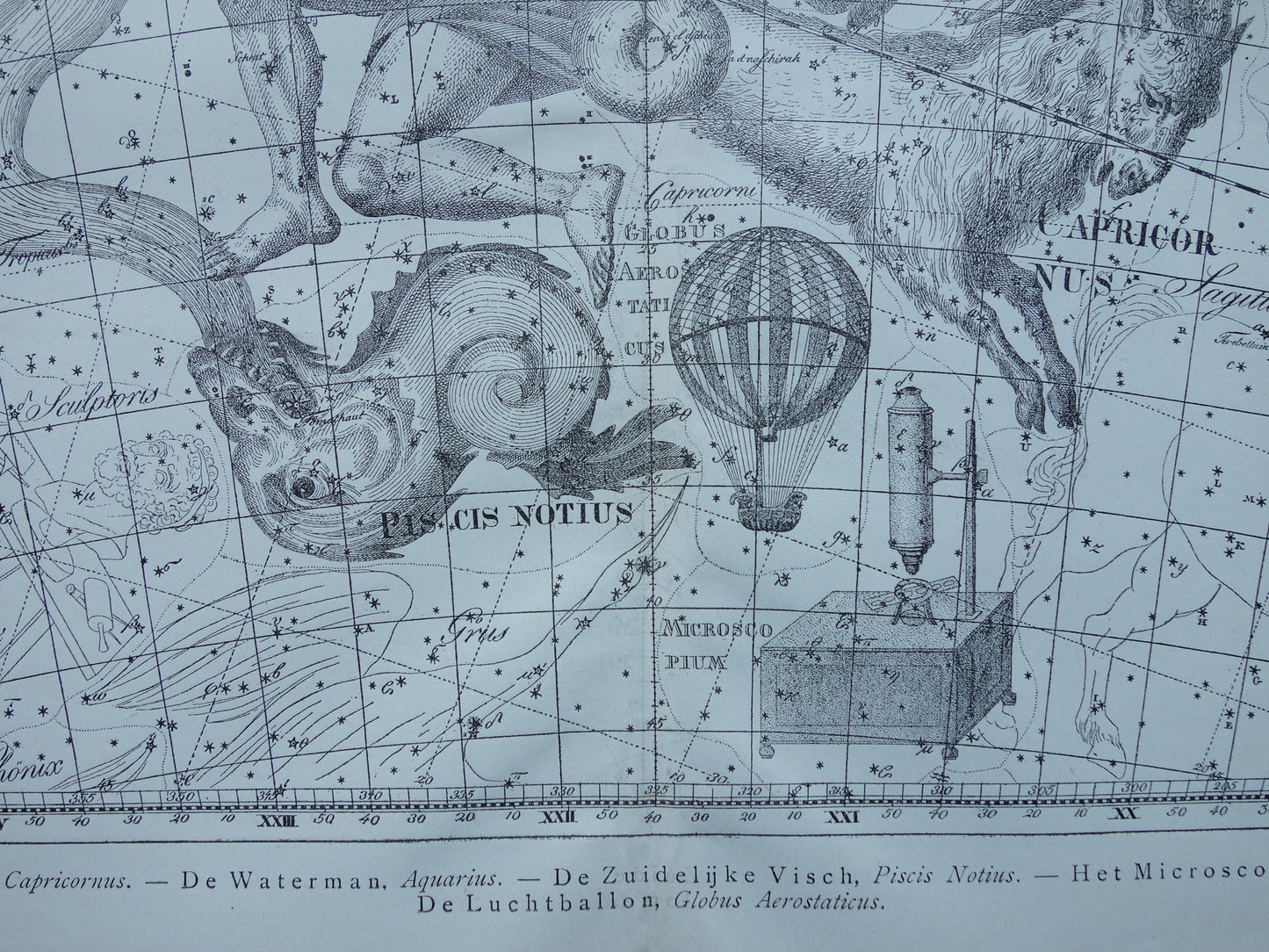 Waterman en Steenbok Oude astrologie prent van sterrenbeeld Antieke sterrenkaart astronomie sterrenbeelden vintage print