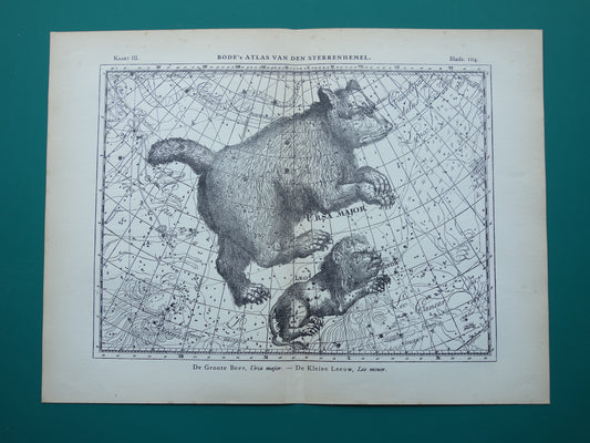 GROTE BEER Oude astronomie prent van sterrenbeeld Ursa Major Antieke sterrenkaart sterrenbeelden vintage print