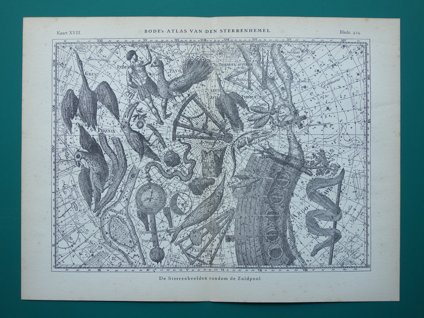 Oude astronomie prent van sterrenbeeld Pavo Indus Toekan Antieke sterrenkaart Argo Navis sterrenbeelden vintage print