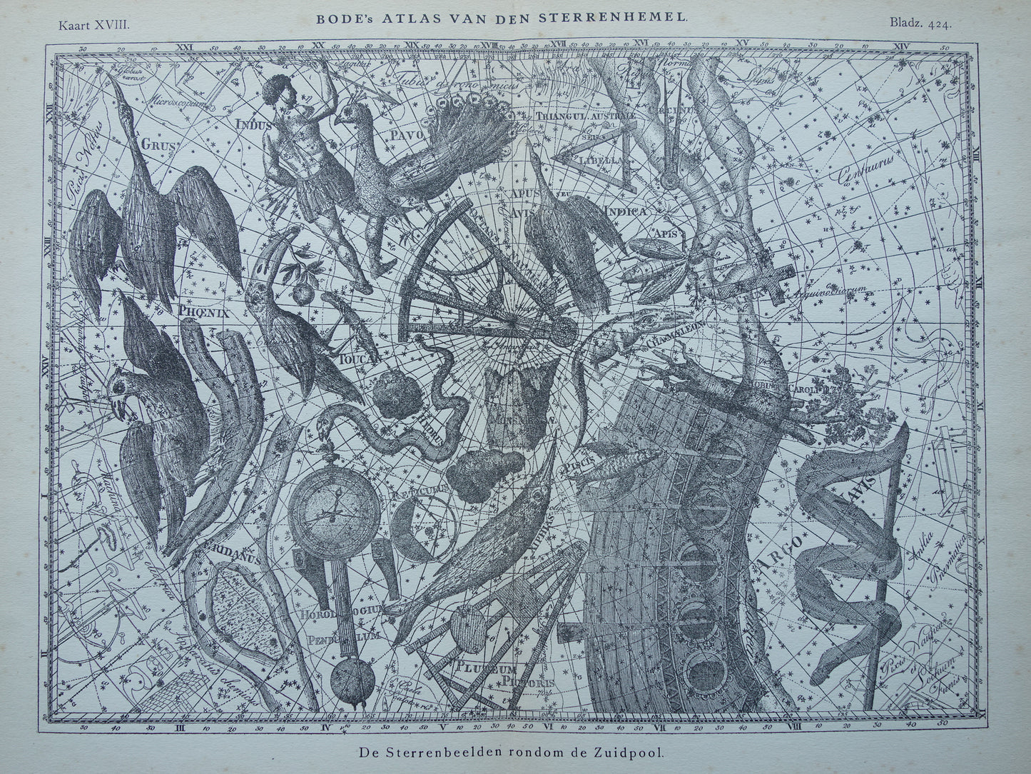Oude astronomie prent van sterrenbeeld Pavo Indus Toekan Antieke sterrenkaart Argo Navis sterrenbeelden vintage print