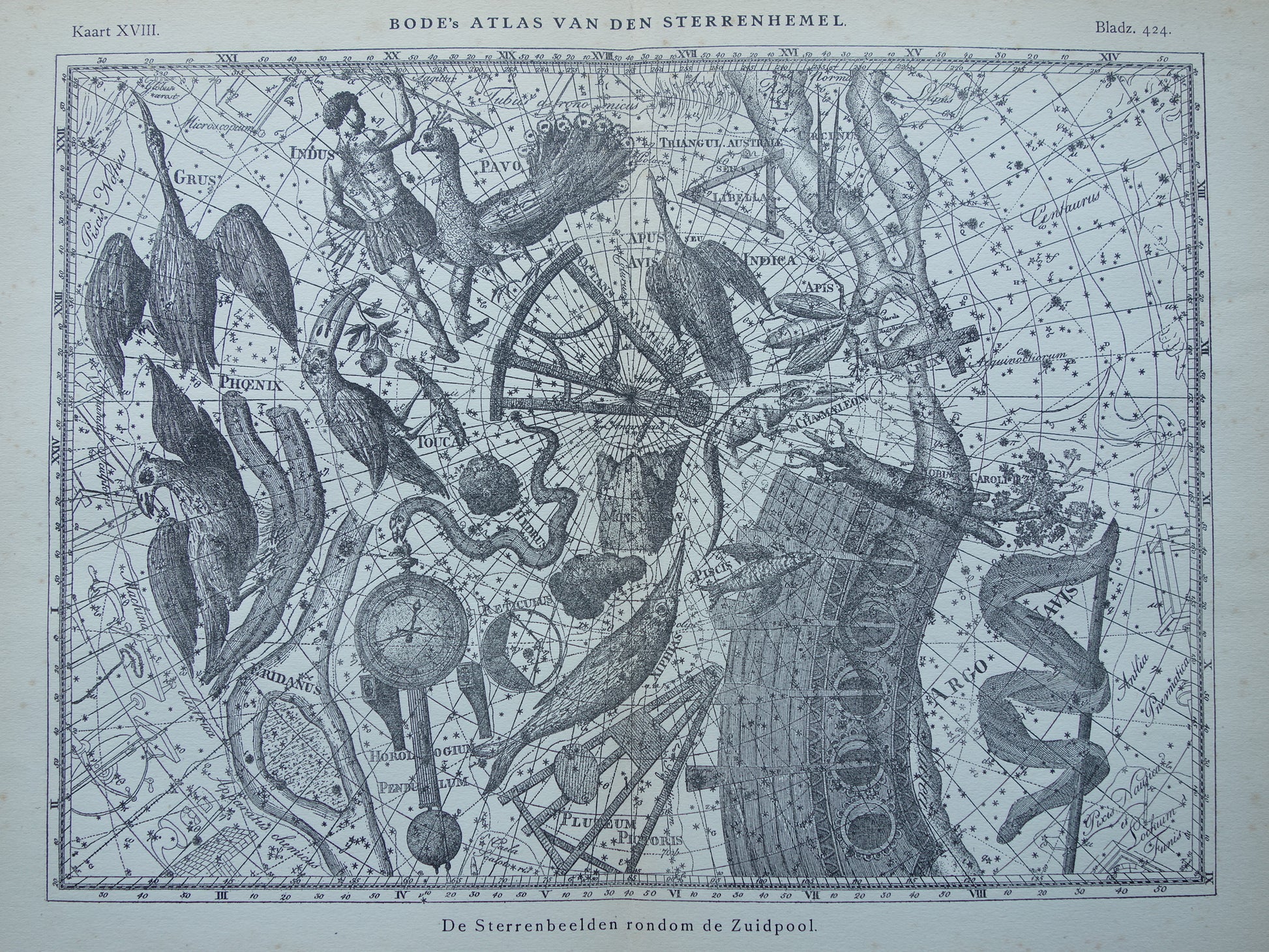 Oude astronomie prent van sterrenbeeld Pavo Indus Toekan Antieke sterrenkaart Argo Navis sterrenbeelden vintage print