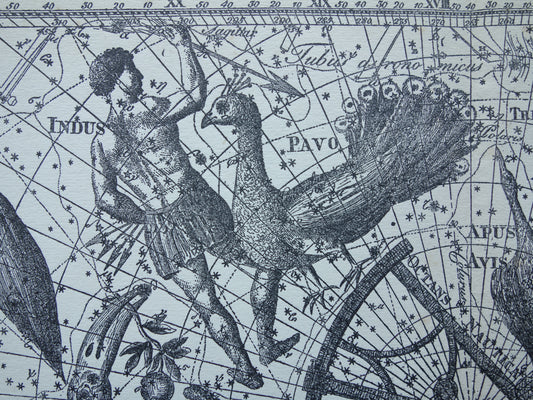 Oude astronomie prent van sterrenbeeld Pavo Indus Toekan Antieke sterrenkaart Argo Navis sterrenbeelden vintage print