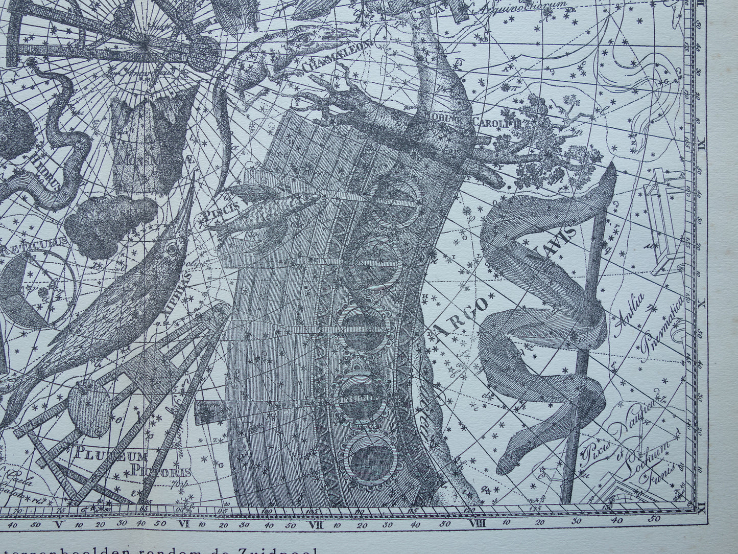 Oude astronomie prent van sterrenbeeld Pavo Indus Toekan Antieke sterrenkaart Argo Navis sterrenbeelden vintage print