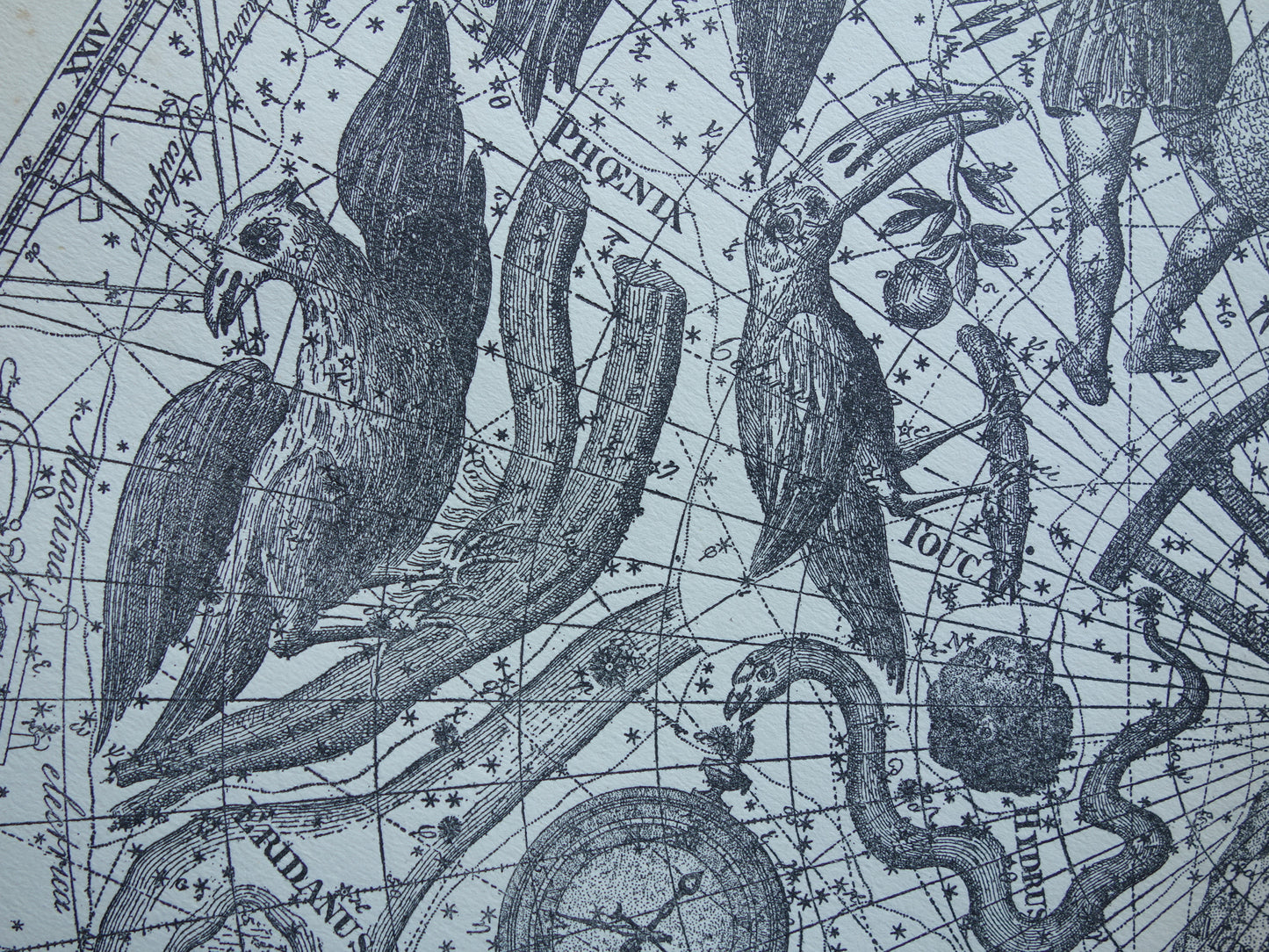 Oude astronomie prent van sterrenbeeld Pavo Indus Toekan Antieke sterrenkaart Argo Navis sterrenbeelden vintage print
