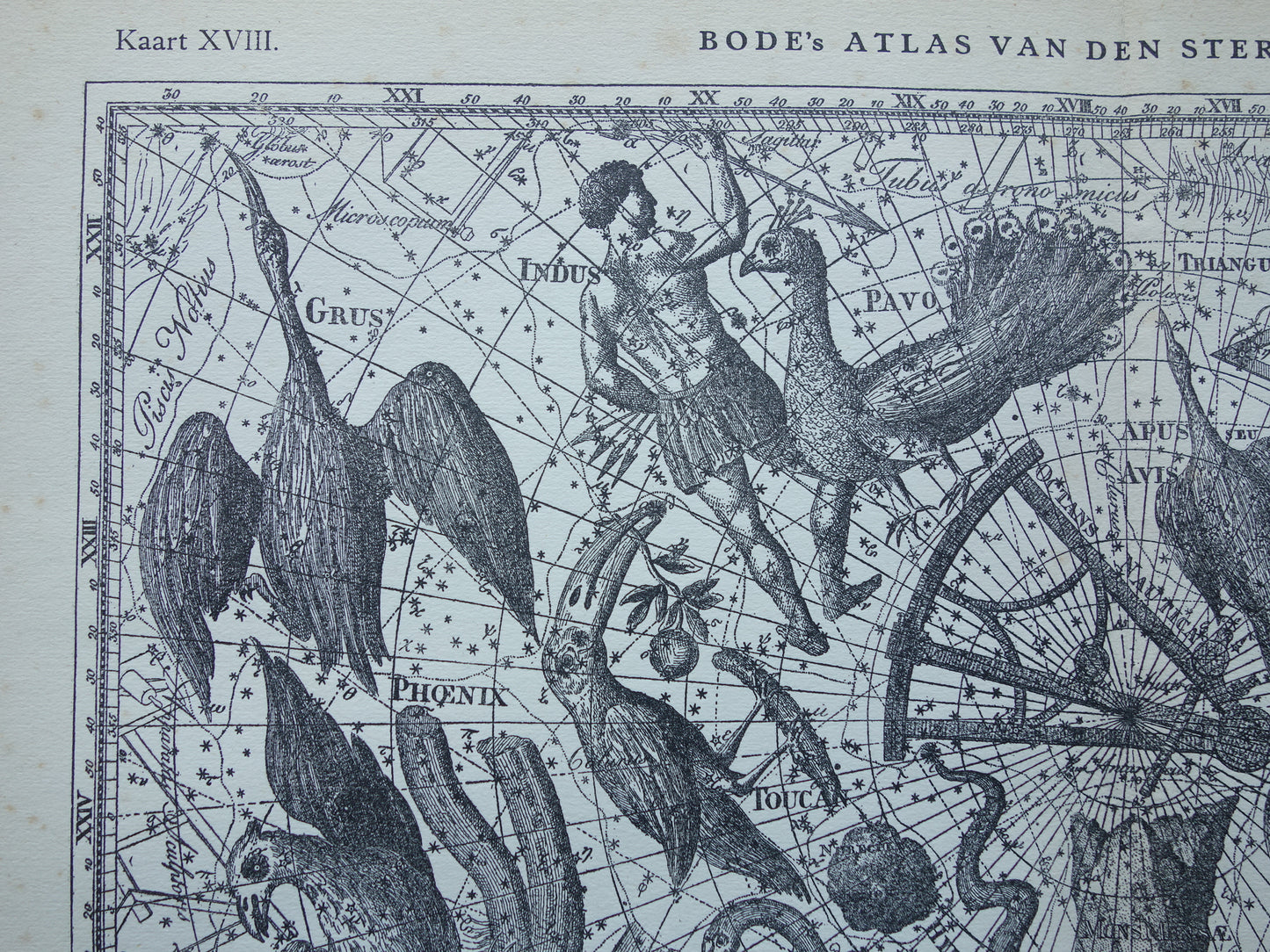 Oude astronomie prent van sterrenbeeld Pavo Indus Toekan Antieke sterrenkaart Argo Navis sterrenbeelden vintage print