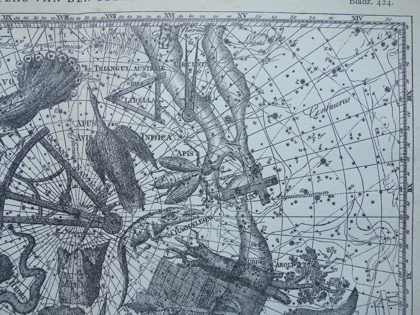 Oude astronomie prent van sterrenbeeld Pavo Indus Toekan Antieke sterrenkaart Argo Navis sterrenbeelden vintage print