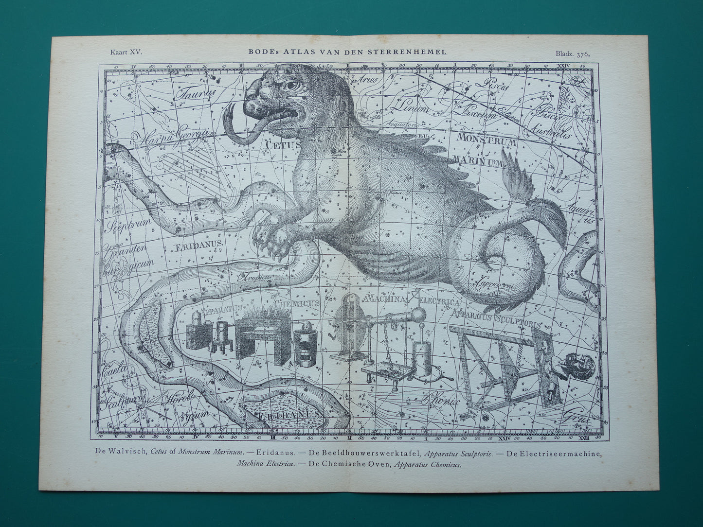 Oude astronomie prent van sterrenbeeld Eridanus Cetus Walvis Antieke sterrenkaart Monstrum Marinum sterrenbeelden vintage print