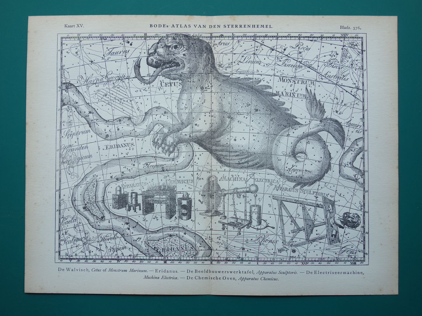 Oude astronomie prent van sterrenbeeld Eridanus Cetus Walvis Antieke sterrenkaart Monstrum Marinum sterrenbeelden vintage print
