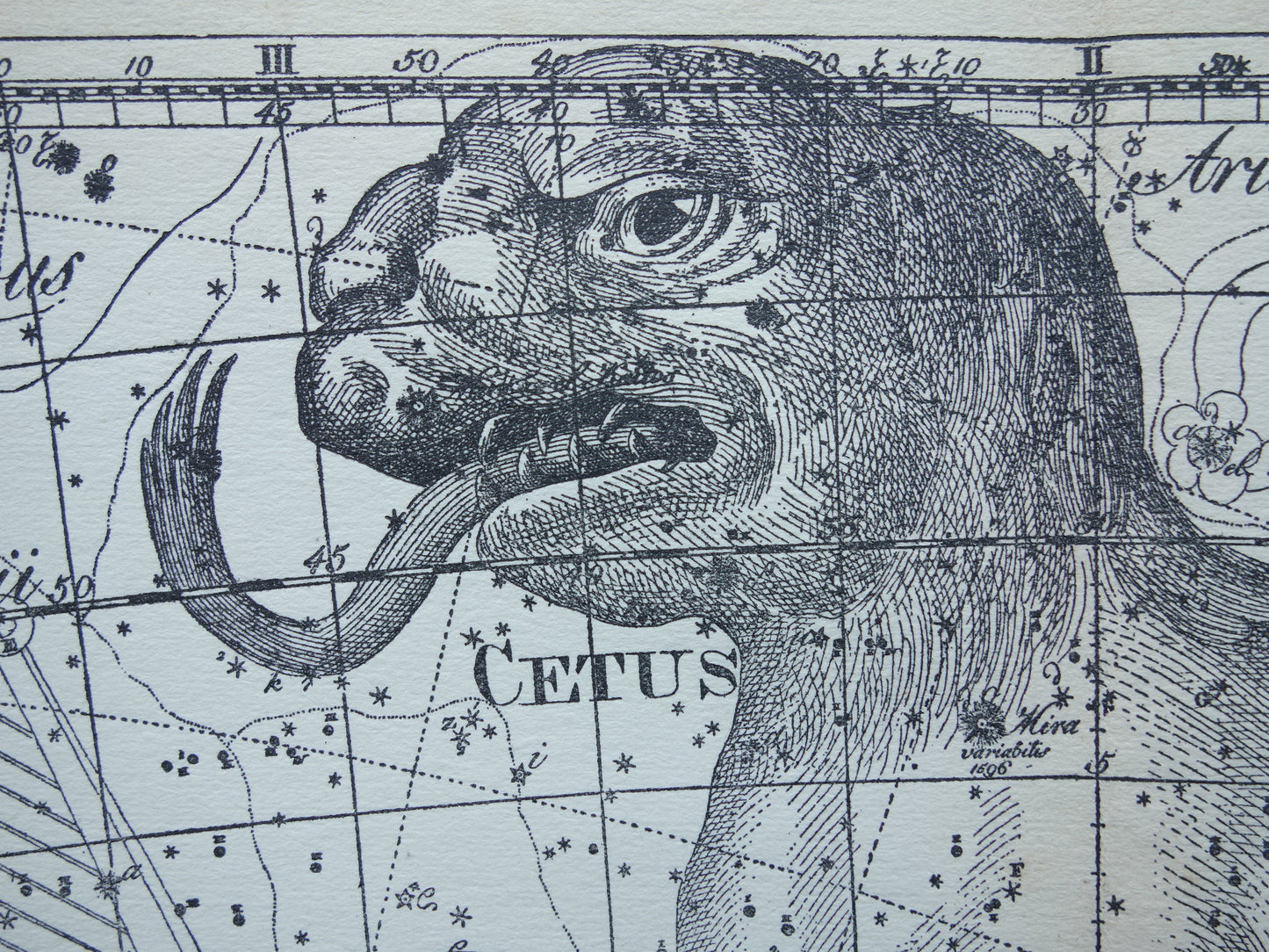 Oude astronomie prent van sterrenbeeld Eridanus Cetus Walvis Antieke sterrenkaart Monstrum Marinum sterrenbeelden vintage print