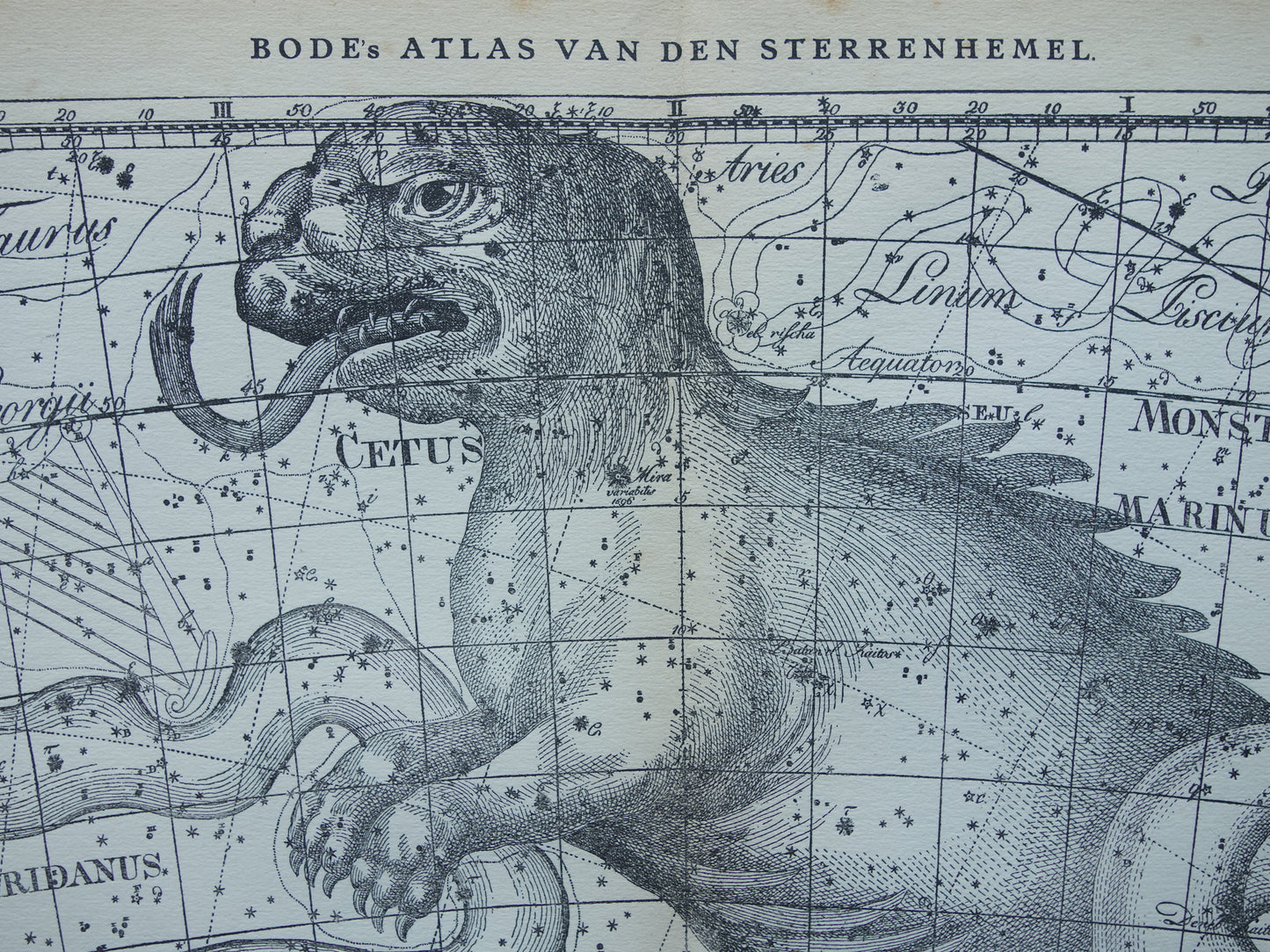 Oude astronomie prent van sterrenbeeld Eridanus Cetus Walvis Antieke sterrenkaart Monstrum Marinum sterrenbeelden vintage print