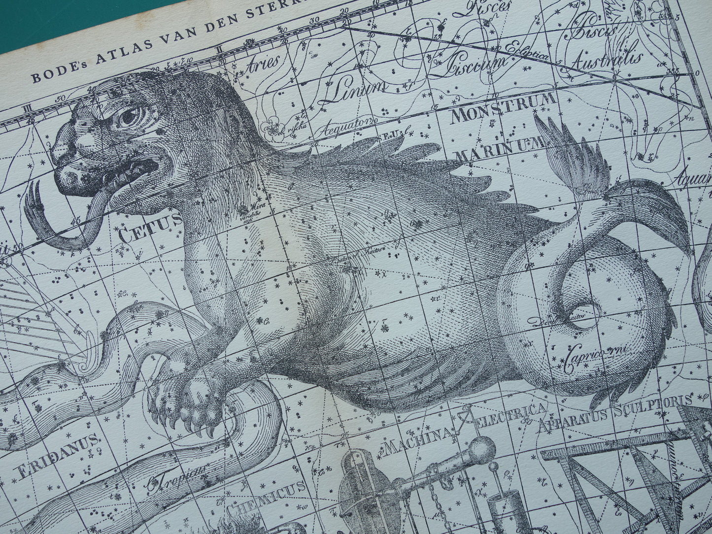Oude astronomie prent van sterrenbeeld Eridanus Cetus Walvis Antieke sterrenkaart Monstrum Marinum sterrenbeelden vintage print